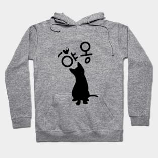 Black Cat Meow Hangul Hoodie